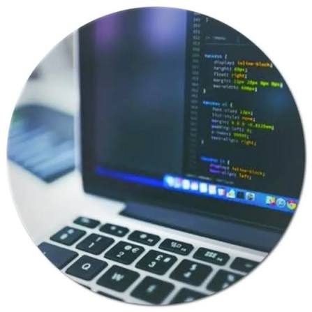 Apex Systems Developers